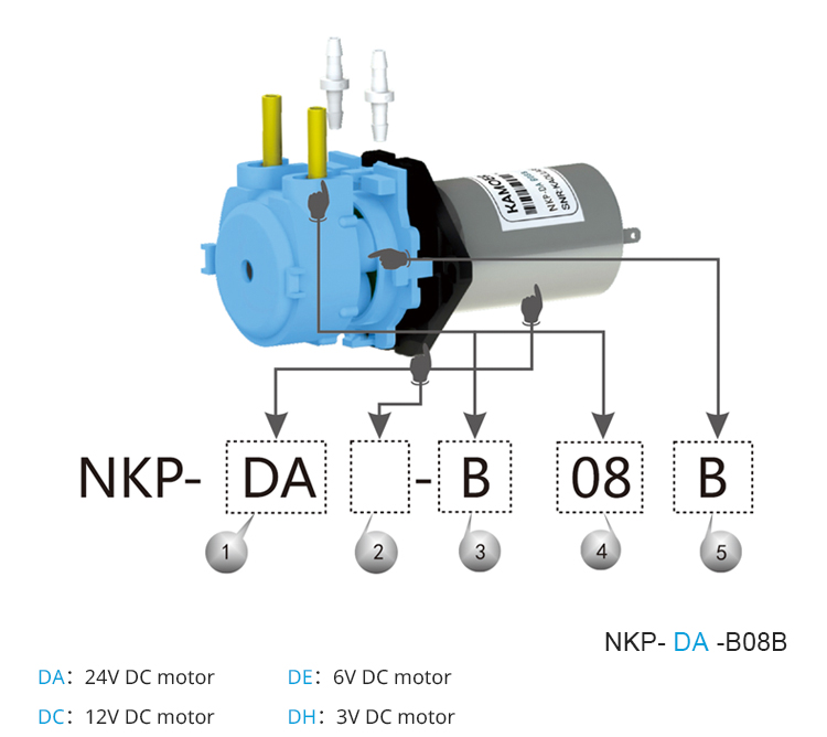 2026 new NKP 6V 12V 24V DC mot - огляд і ціна Nutrition & Fitness Hub