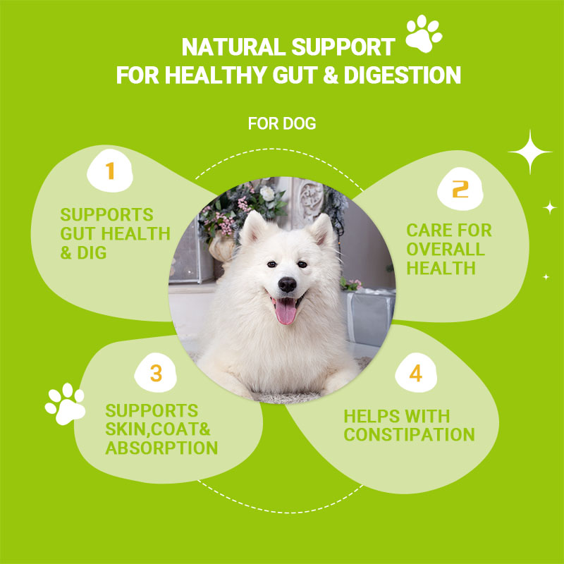 Probiotic for Dogs - Enhance I - огляд і ціна Nutrition & Fitness Hub