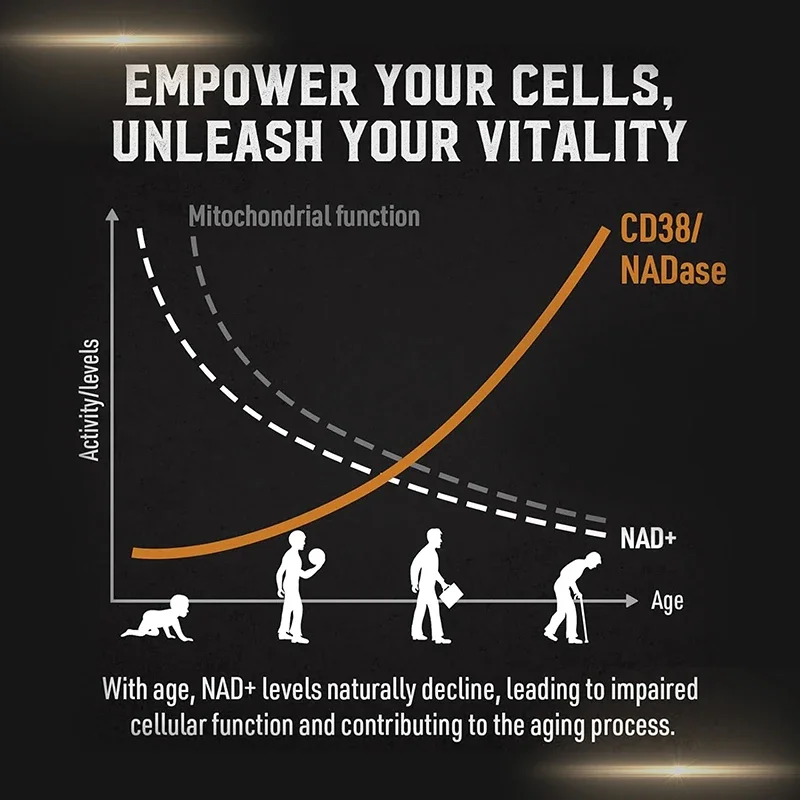 Liposomal NAD Supplement - Rel - огляд і ціна Pre Workout Supplement